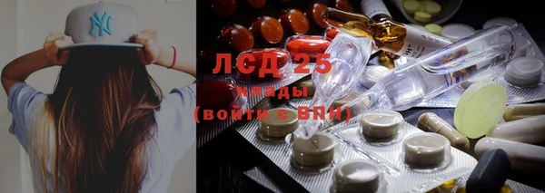 a pvp Абаза