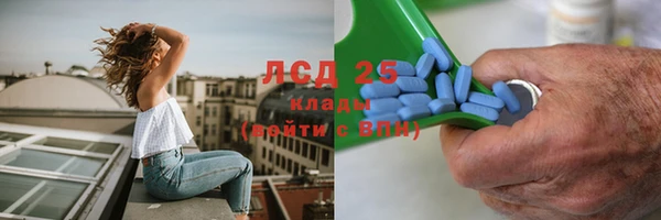 ГАЛЛЮЦИНОГЕННЫЕ ГРИБЫ Алексин