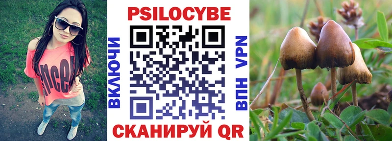 Псилоцибиновые грибы мицелий  что такое   Ясный 