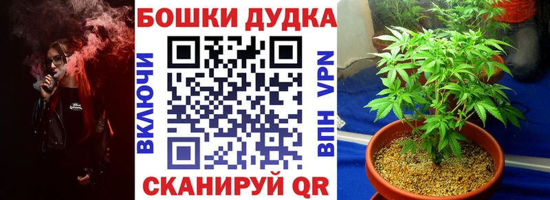 Конопля ГИДРОПОН  Ясный 